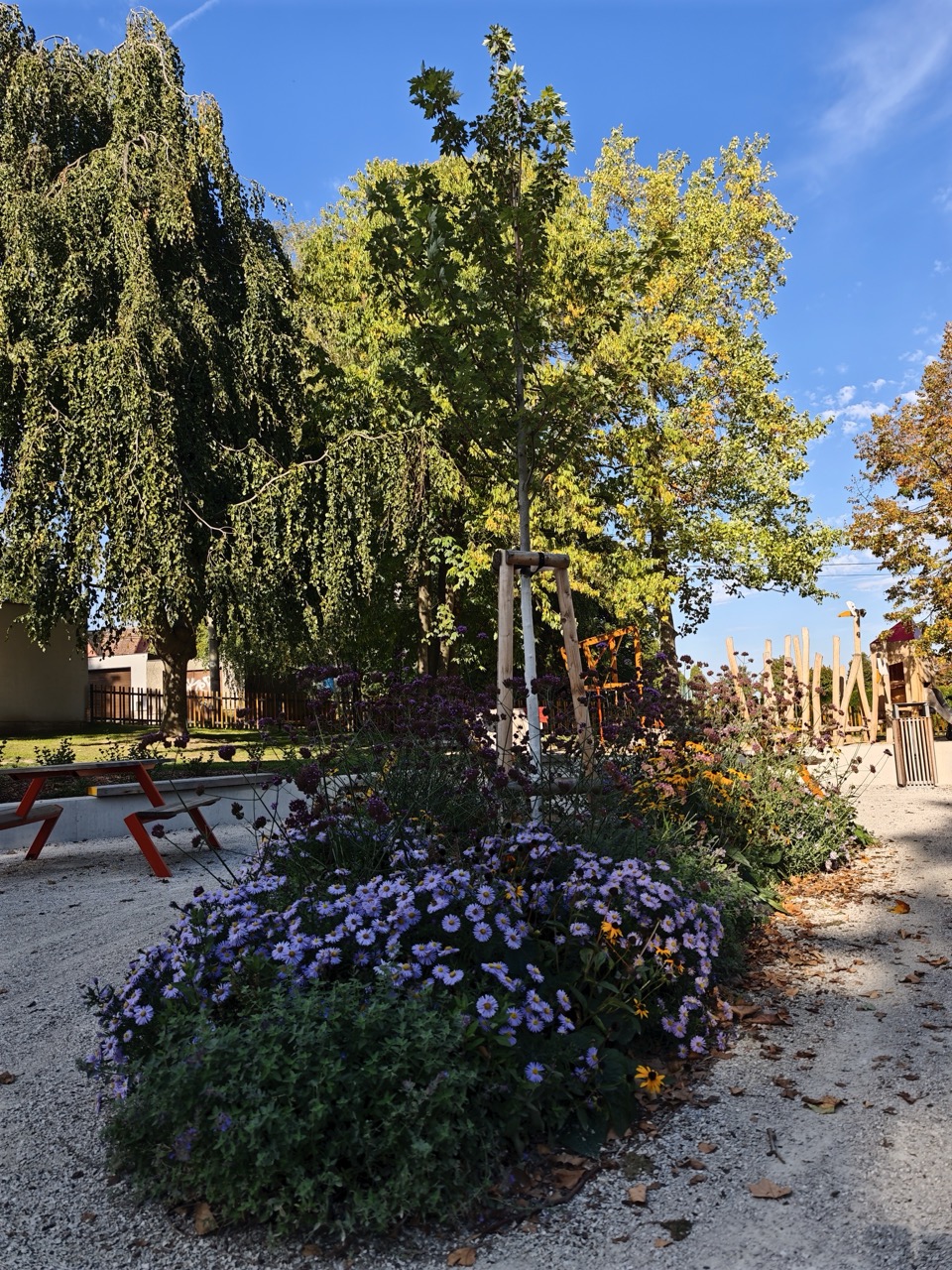 Hřiště ZŠ Polanka nad Odrou - fotografie 15